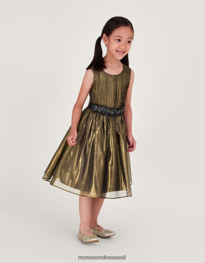 הַלבָּשָׁה Monsoon שמלת אורגנזה שימר ארץ הפלא רַב ילדה HTJ0TZ1567