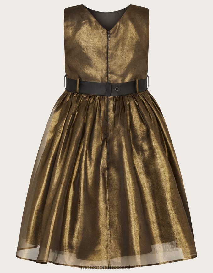 הַלבָּשָׁה Monsoon שמלת אורגנזה שימר ארץ הפלא רַב ילדה HTJ0TZ1567