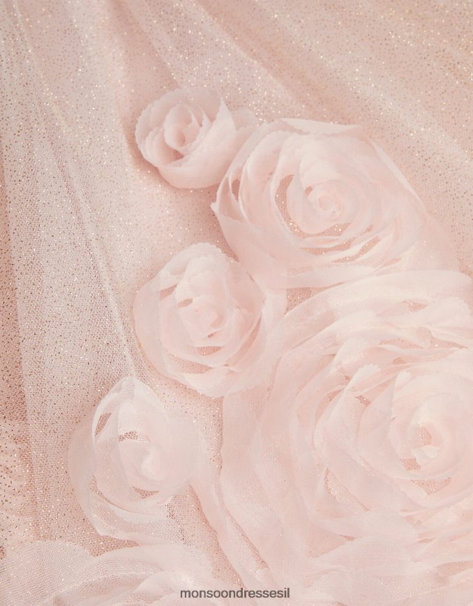 הַלבָּשָׁה Monsoon שמלת ורדים תלת מימדית של ארבלה ורוד (ורוד כהה) ילדה HTJ0TZ1665