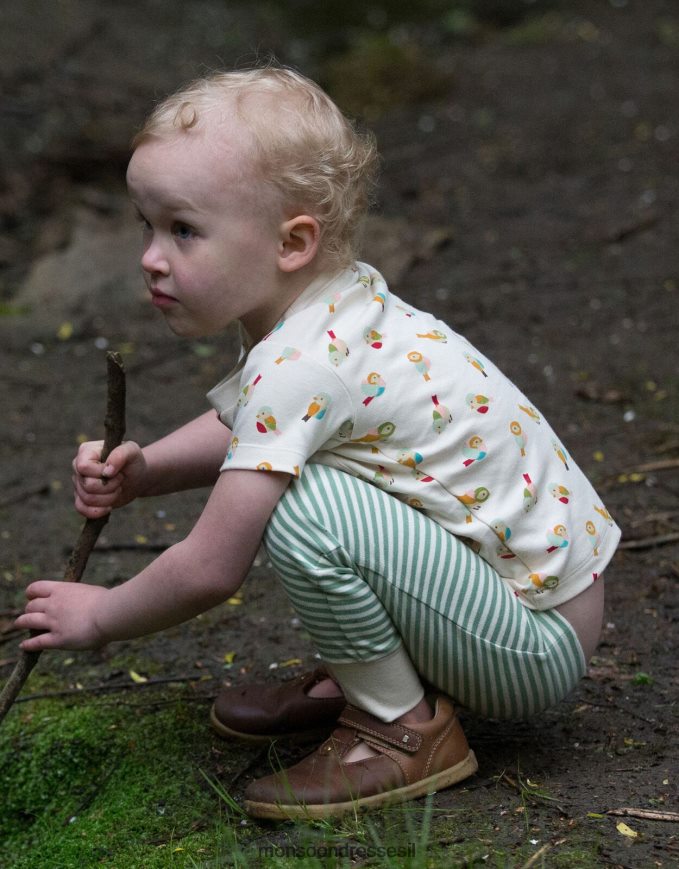 הַלבָּשָׁה Monsoon רדיקלים קטנים ירוקים חולצת טריקו של ציפור קטנה ומשחקי ג'וגר רַב יְלָדִים HTJ0TZ1984