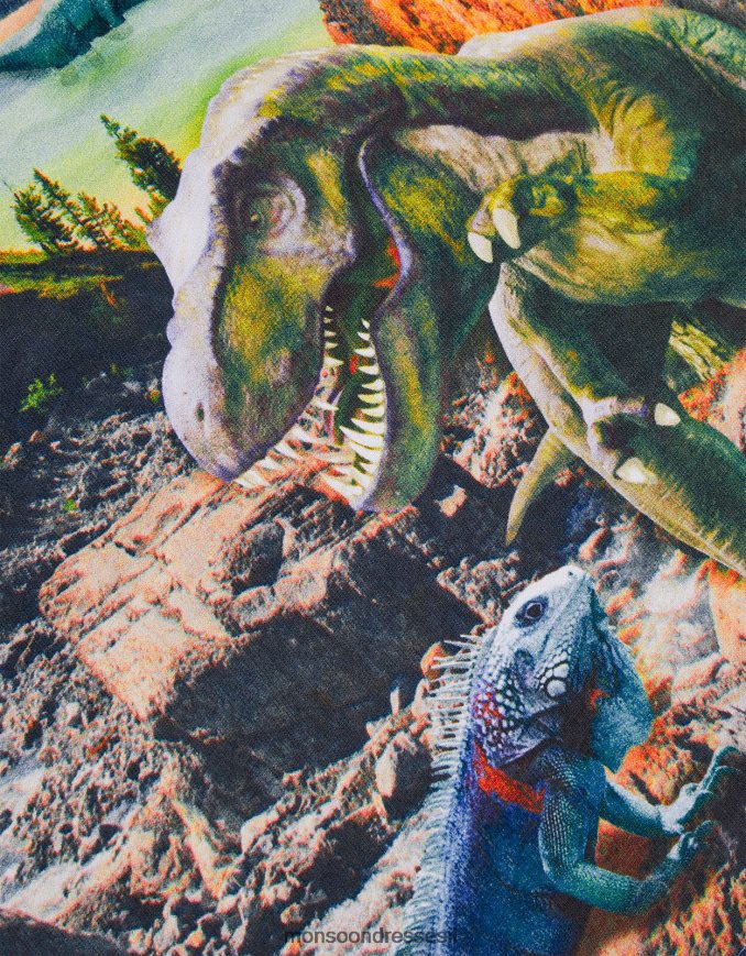 הַלבָּשָׁה Monsoon חולצת טי של סצנת דינוזאורים בהדפס דיגיטלי כְּחוֹל יֶלֶד HTJ0TZ2271